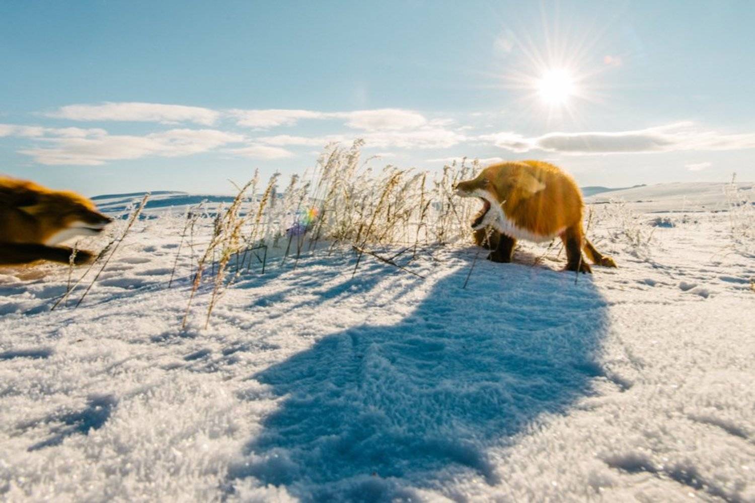 , Иван Кислов