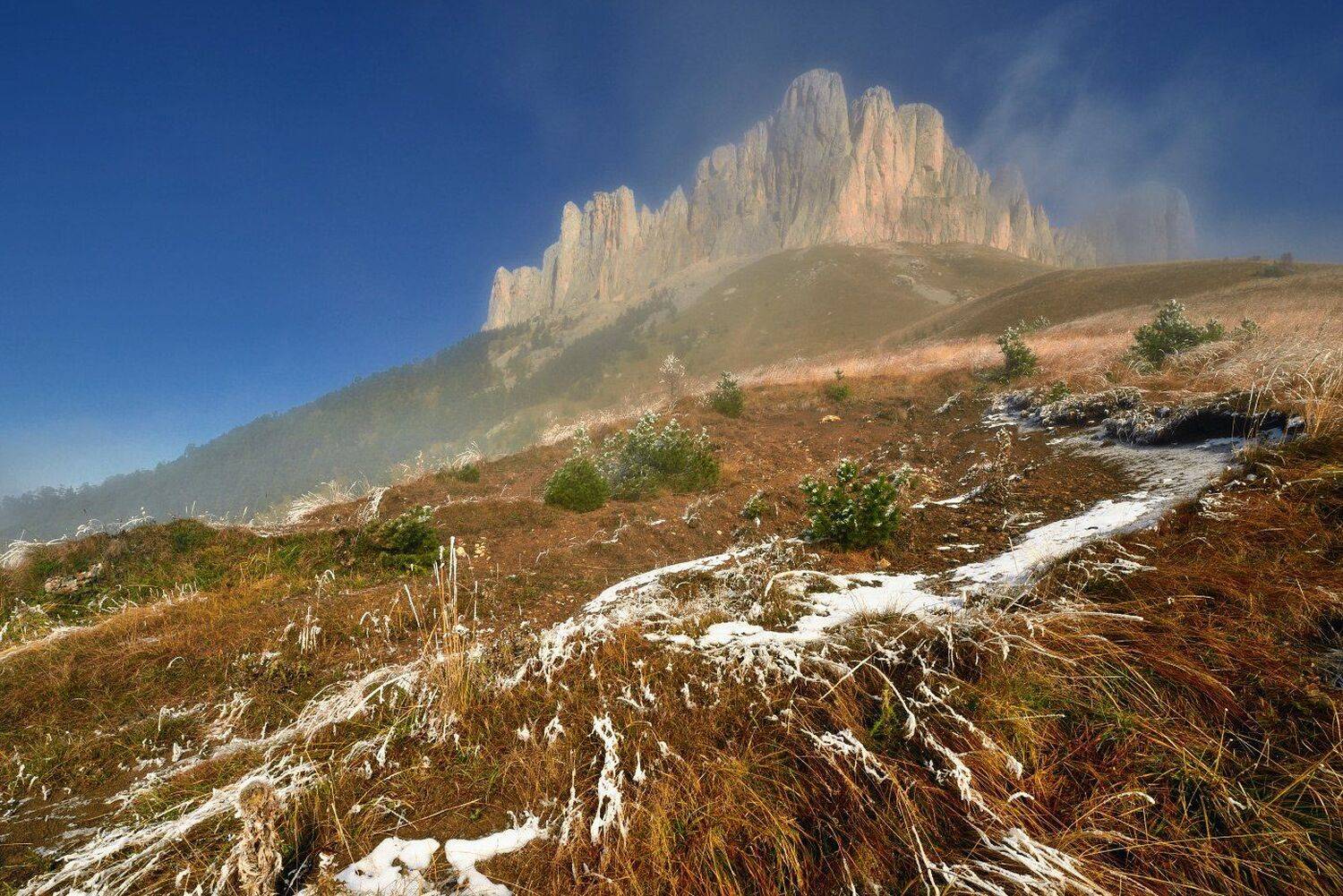 , Максим Евдокимов