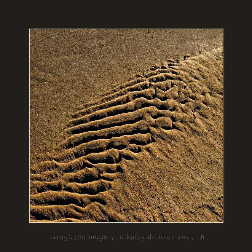 , николай дмитрук