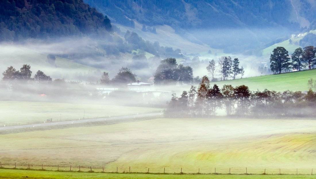 , Людмила Прокофьева