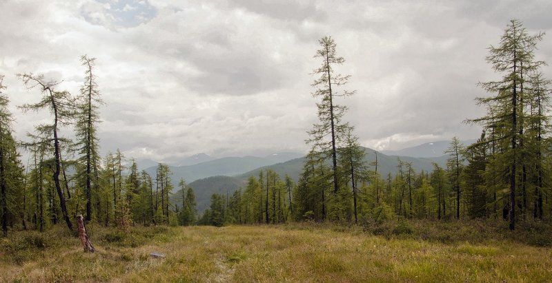 Здесь мягкий луг и чисты воды замена злату и сребру; здесь сам веселья я беру  из рук роскошныя природы. (И. Крылов) фото превью