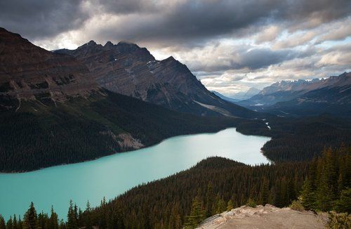 Peyto Lake