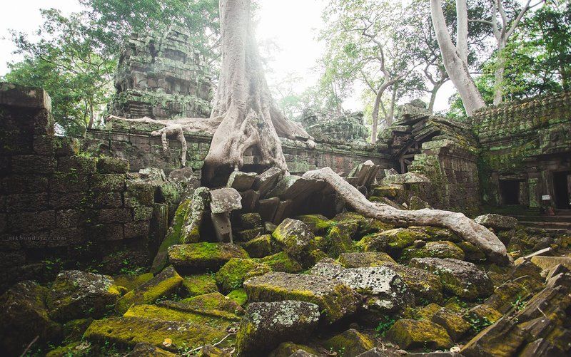 Angkor фото превью