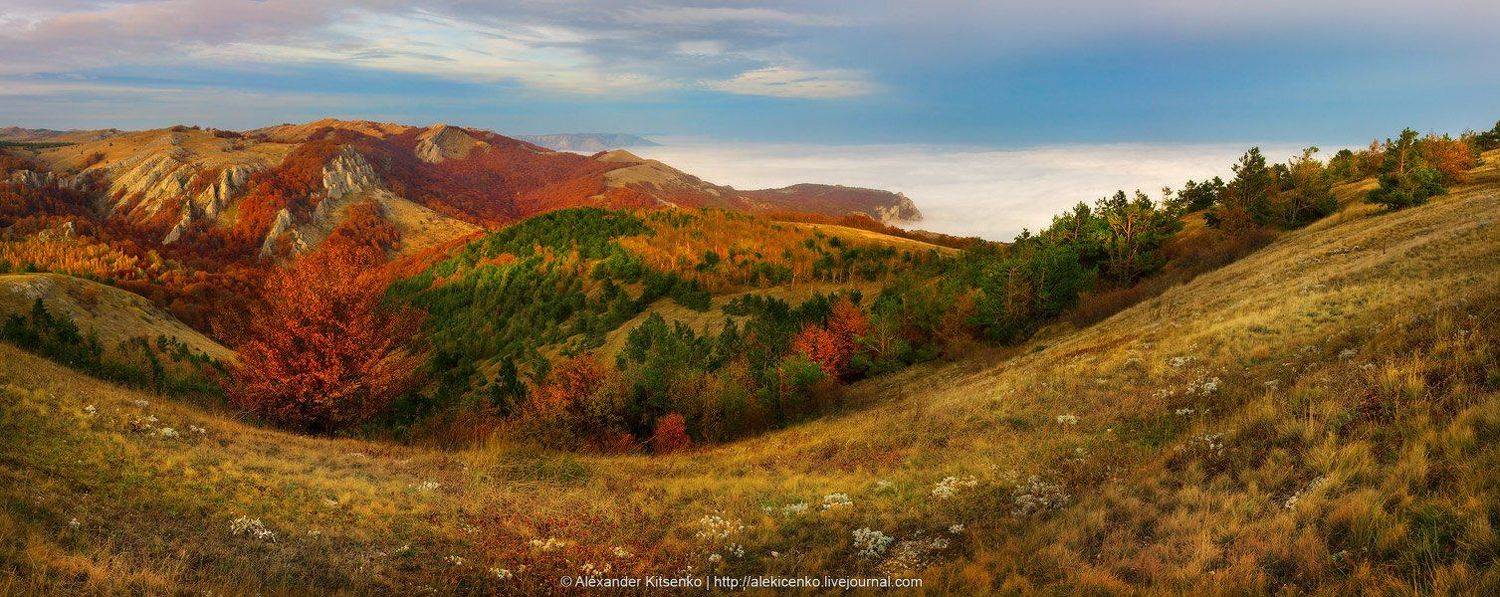 , Александр Киценко