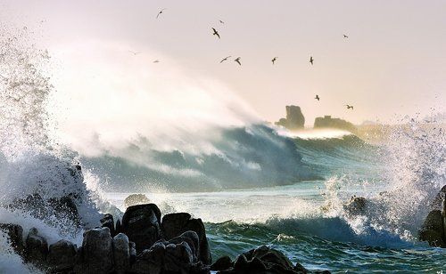Sea