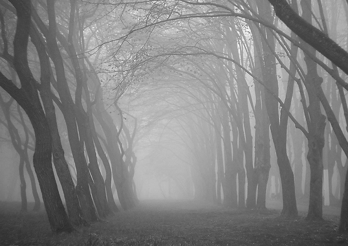 , Роман Рыжков