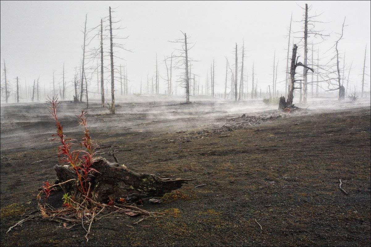 , Вадим Никифоров