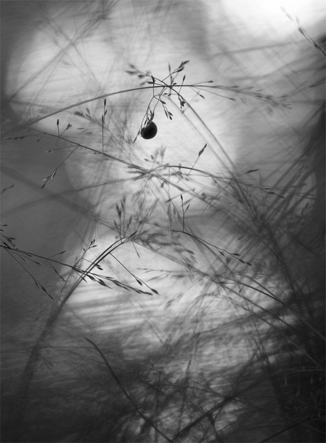 , Геннадий Мещеряков