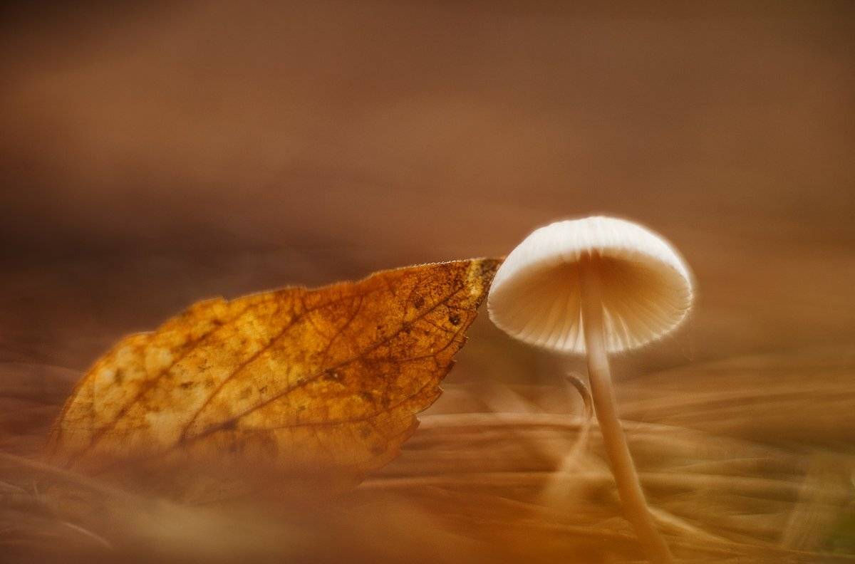 гелиос, 40-2, Татьяна Аверина