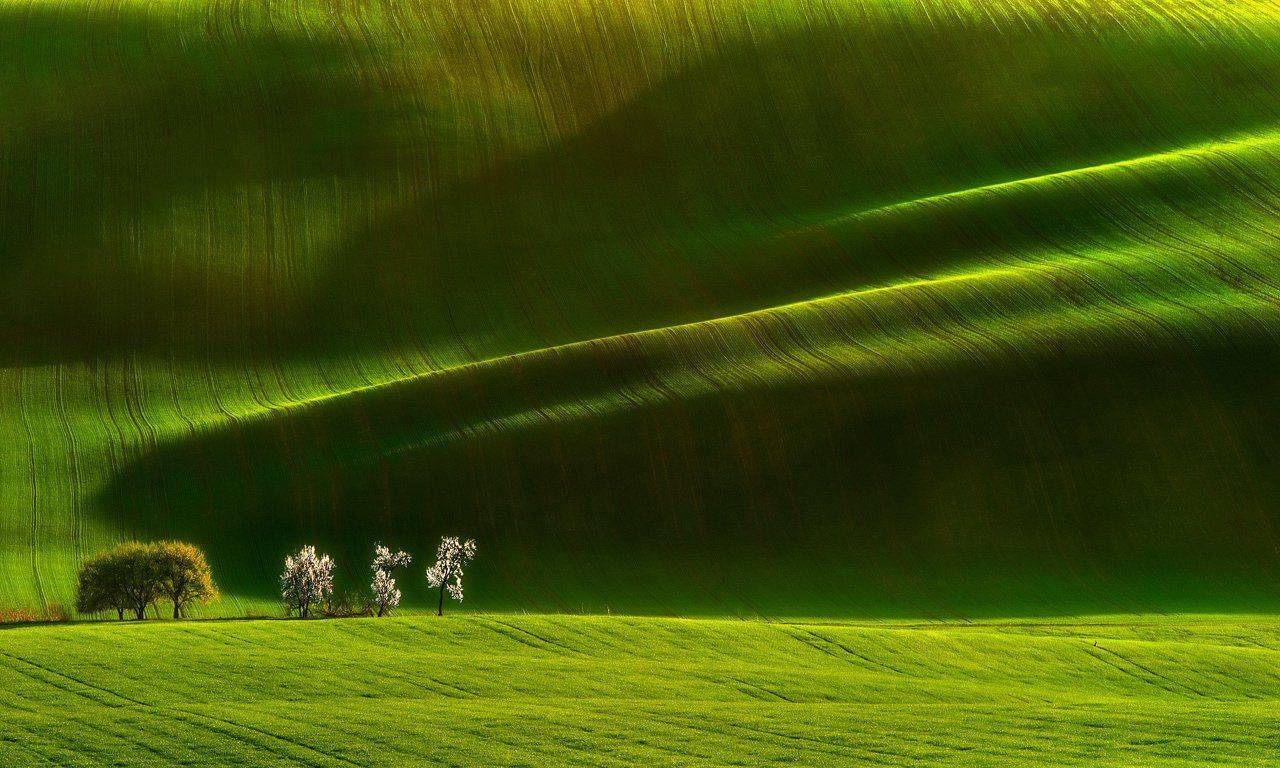 , Pawel Kucharski