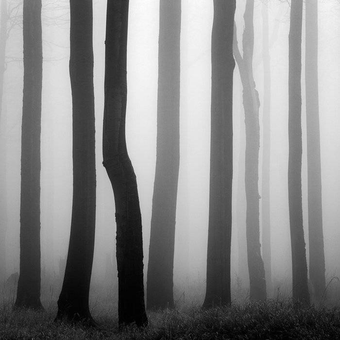 , Martin Rak
