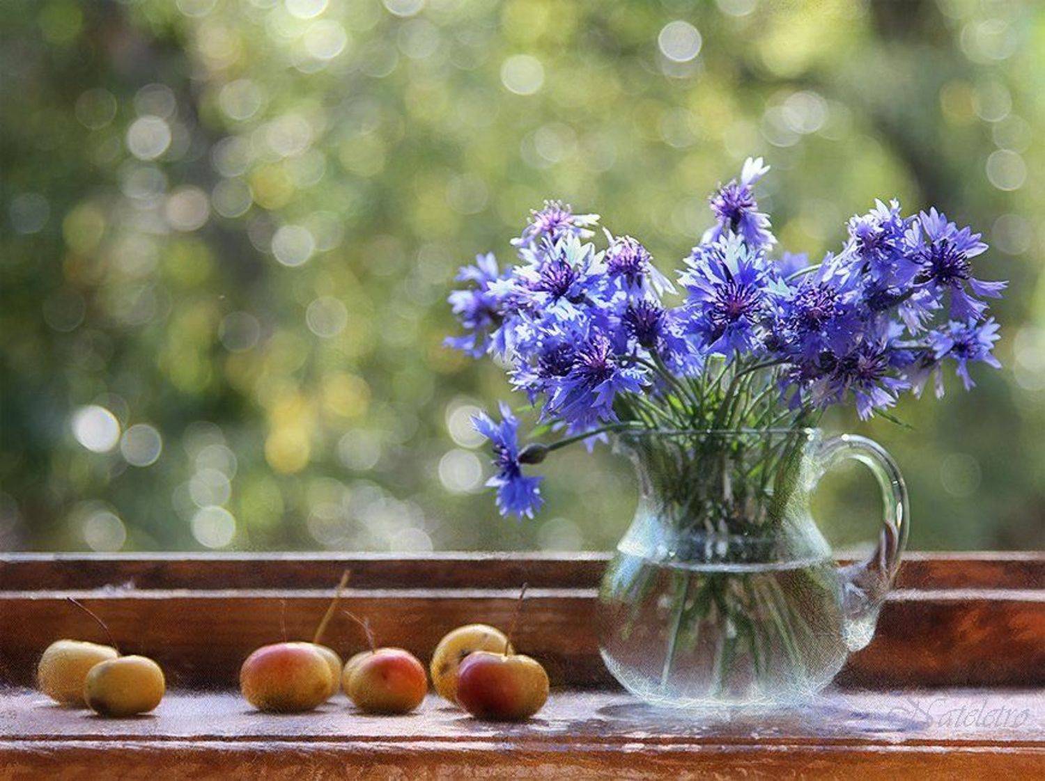 , Наталья Кузнецова (Nateletro)