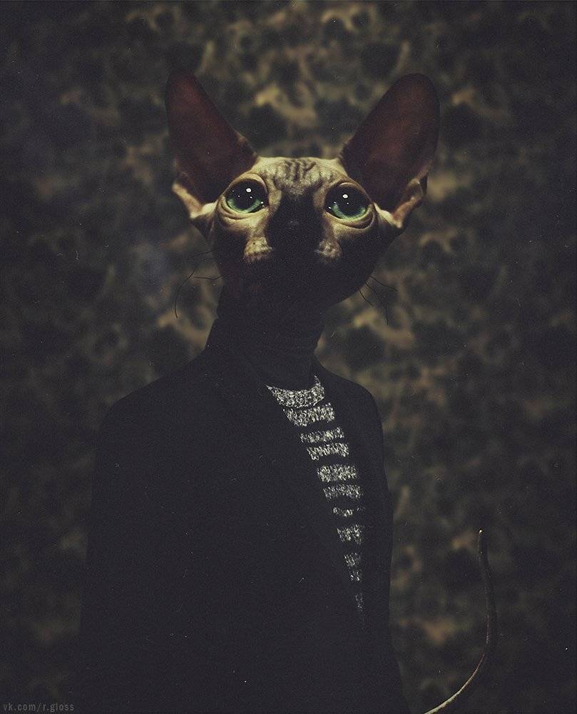 , Роман Глосс