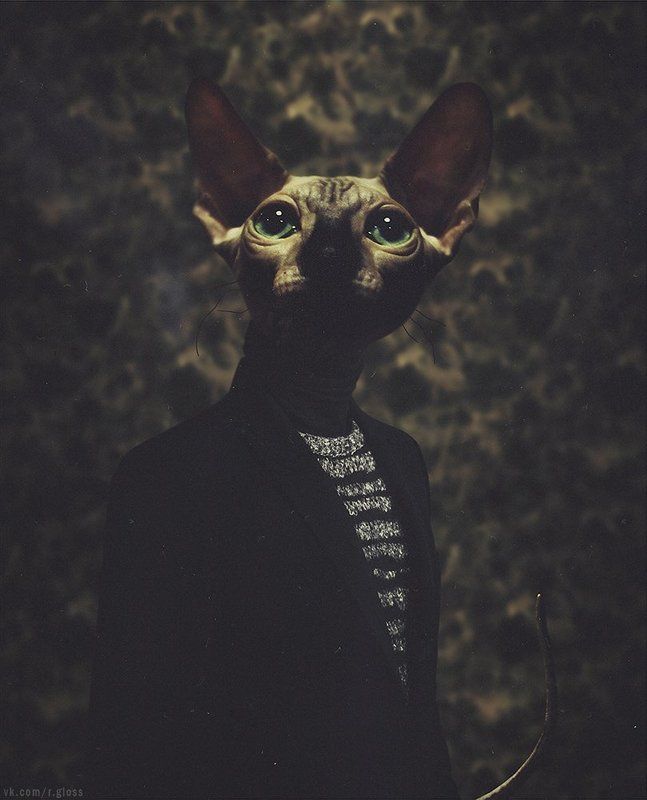 *** фото превью