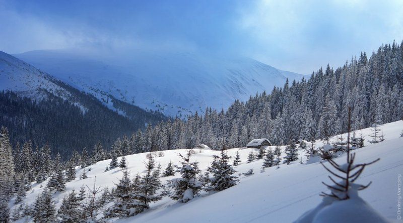 Домик фото превью