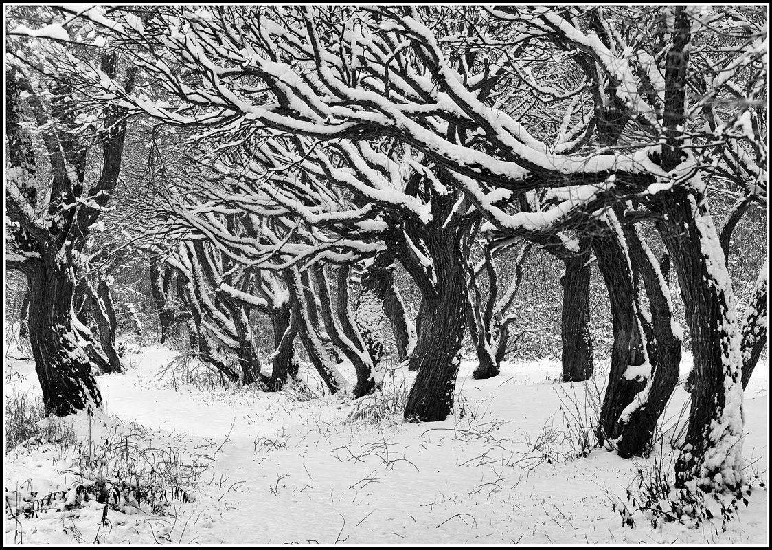 , Лихарев Александр