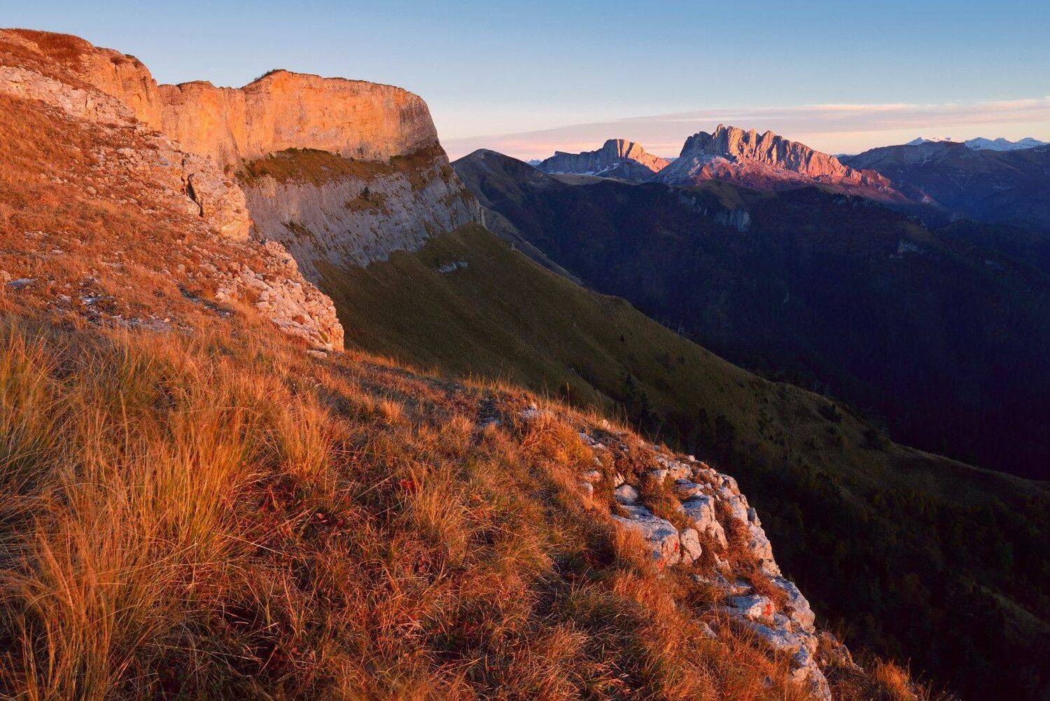 , Максим Евдокимов