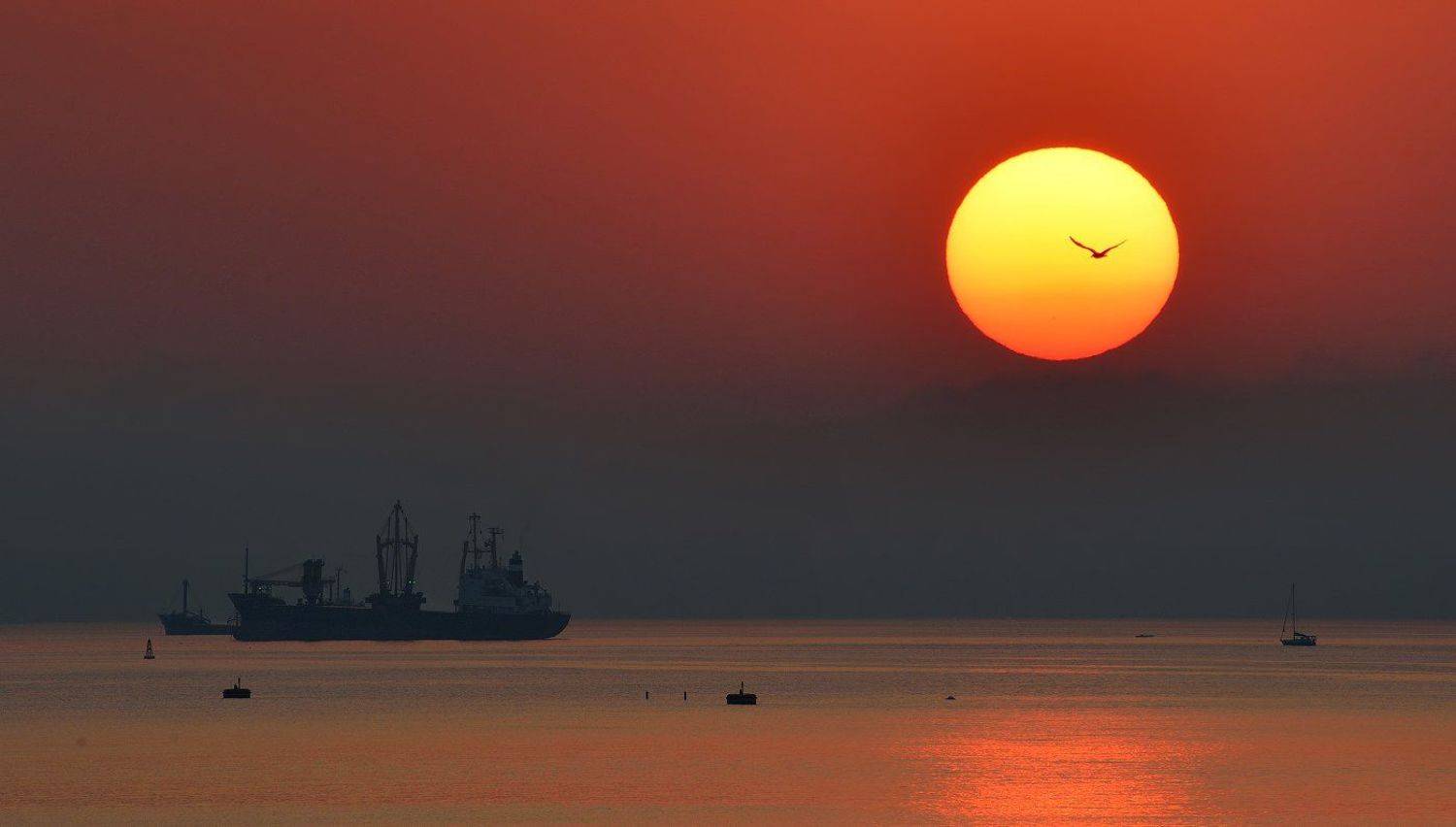 , Олег Пожарков