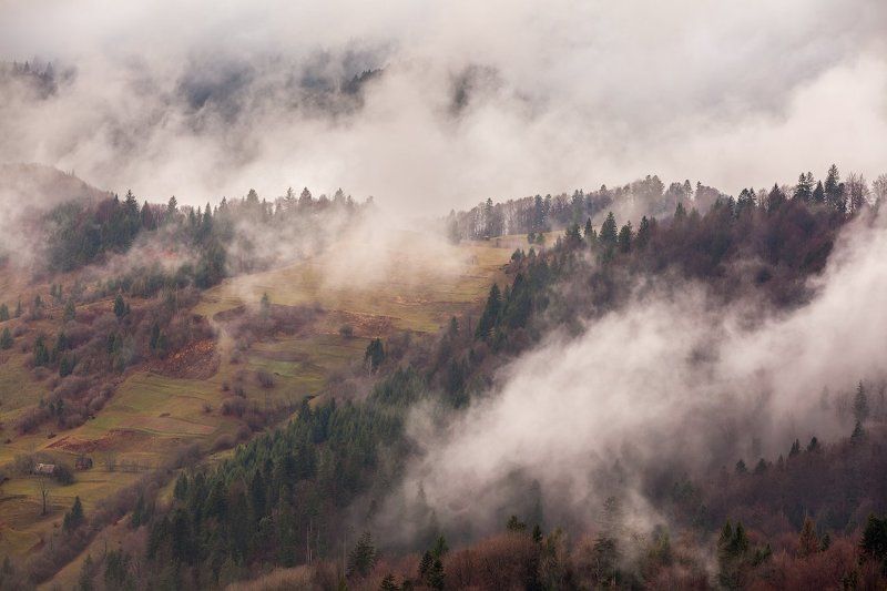 Одно утро фото превью