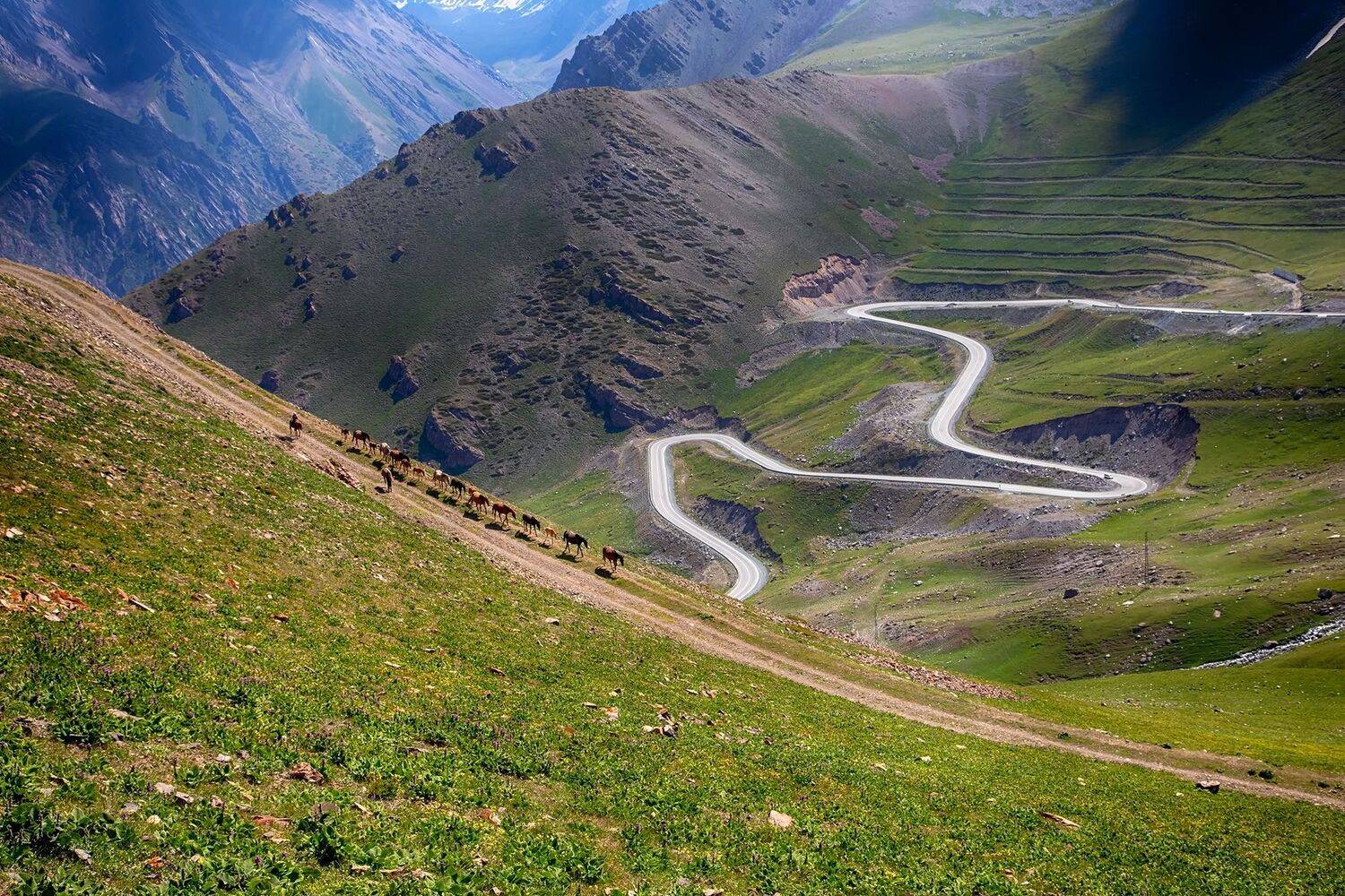 кыргызстан, горы, Элина Магалимова