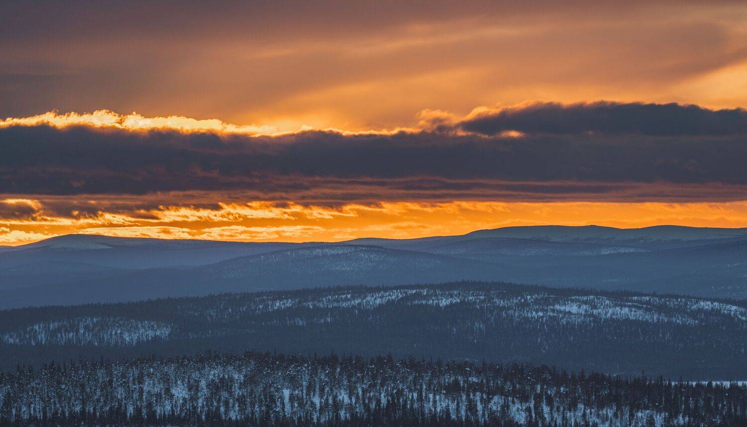 , Константин Дэм