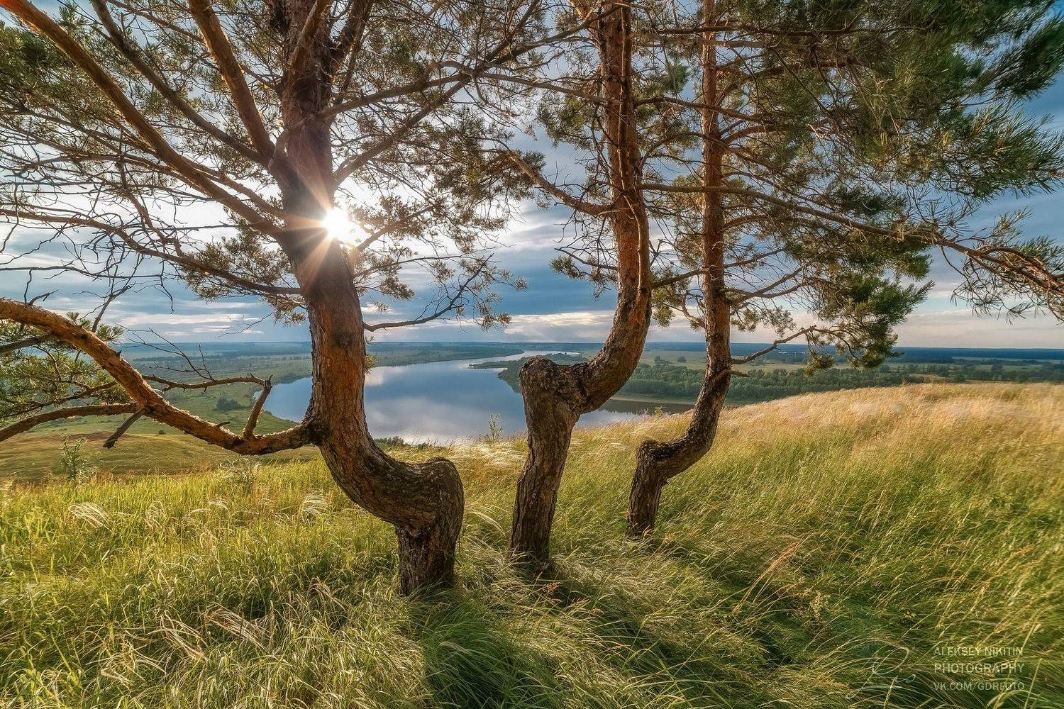 , Алексей Никитин