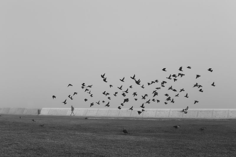 Одним туманным утром фото превью