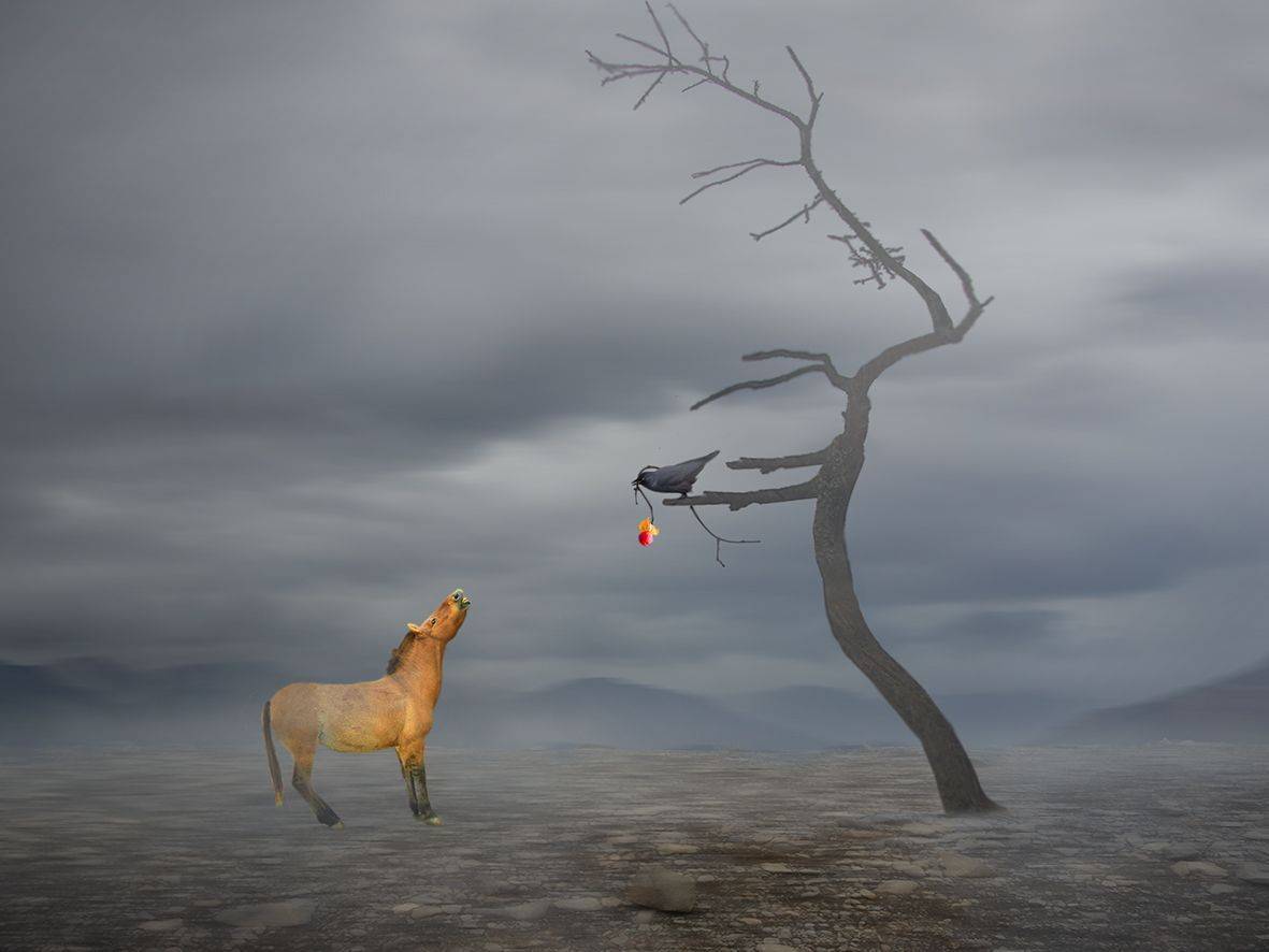 , T. Bondarenko