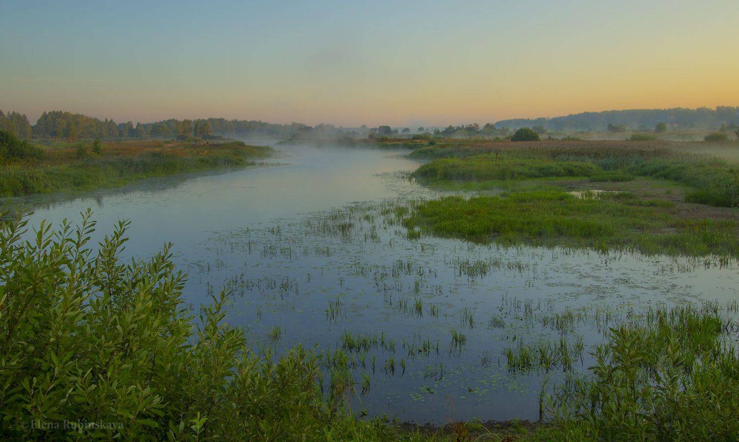 , Елена Рубинская