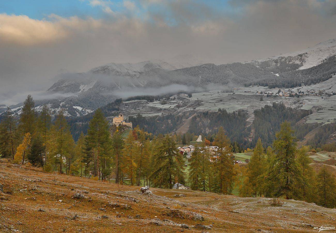 swiss, Матвеев Николай