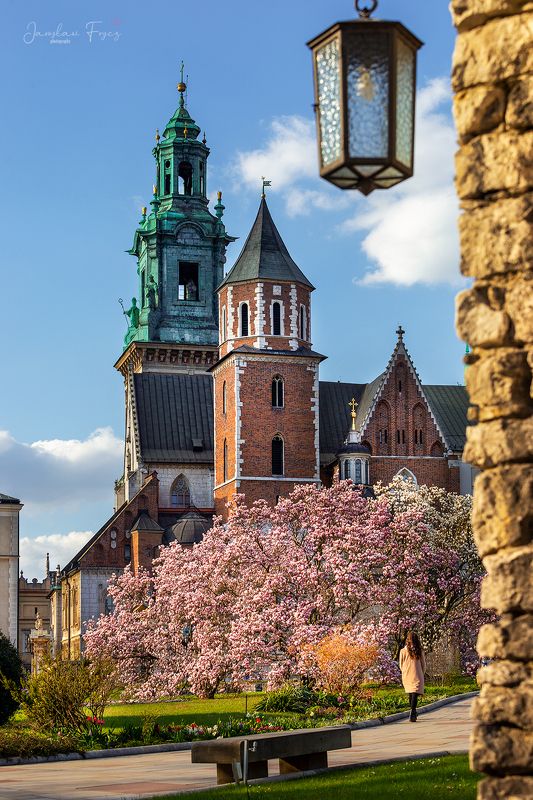 Wawel фото превью
