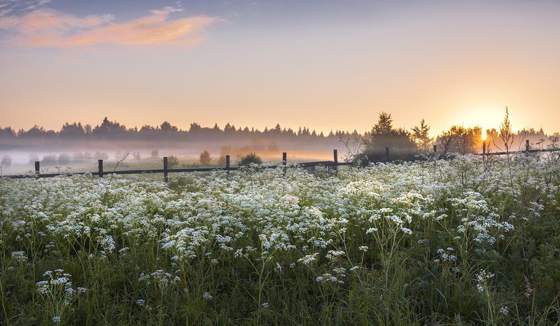 Начало хорошего дня. фото превью