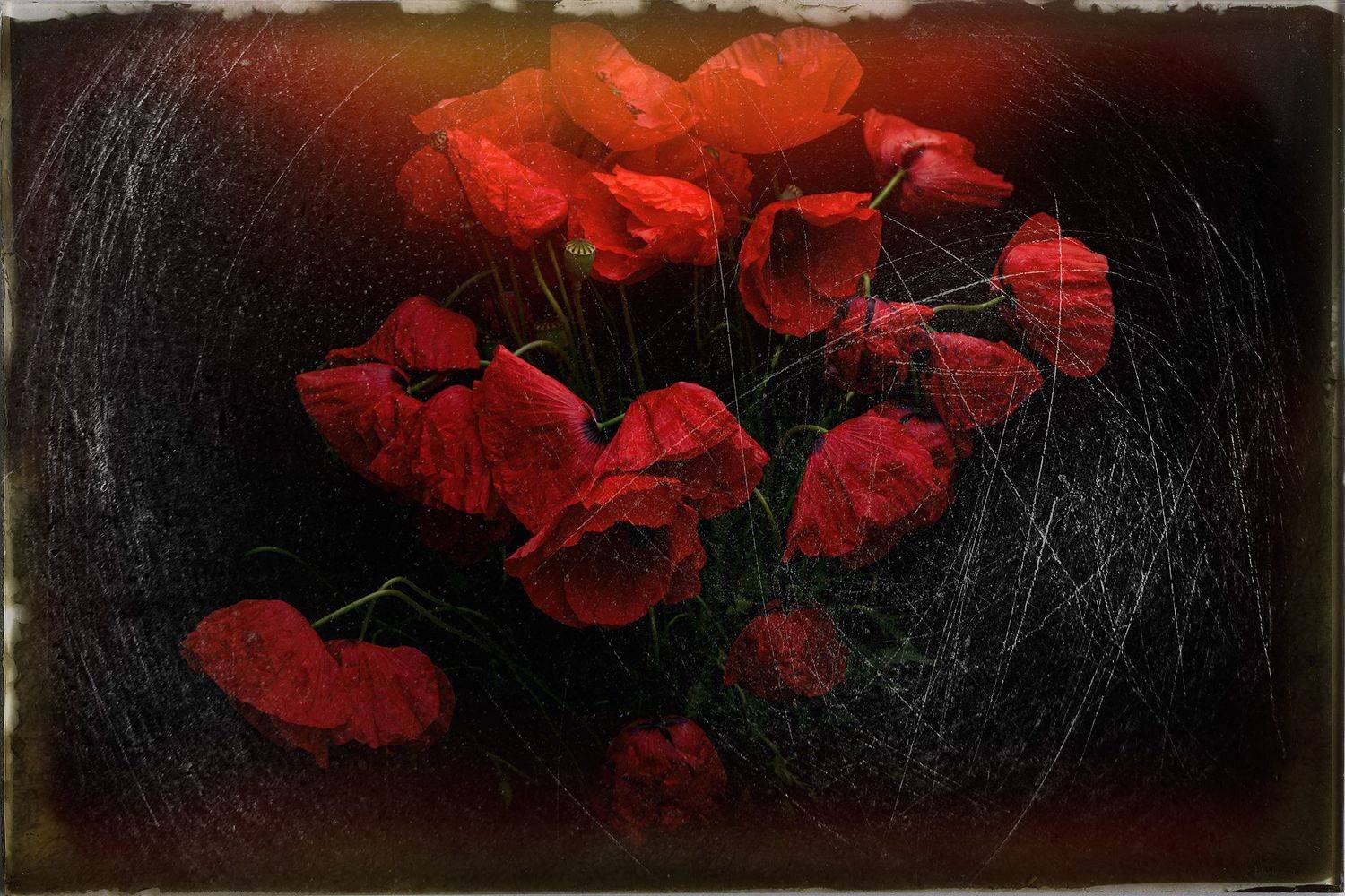 ,  Светослав Радков