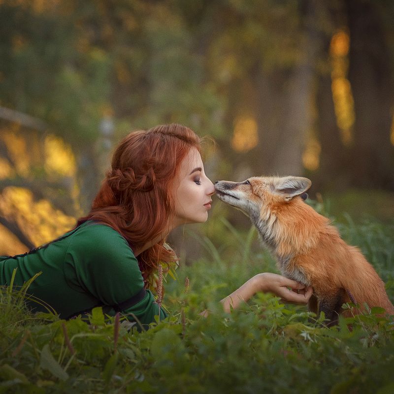 Foxes фото превью