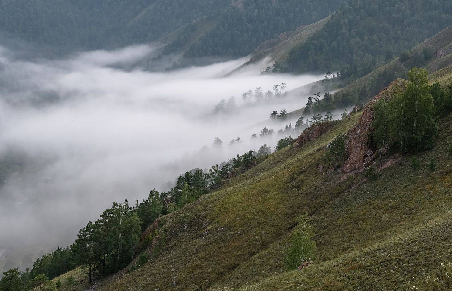 красноярский край. торгашинский  хребет, туман., Марина Фомина
