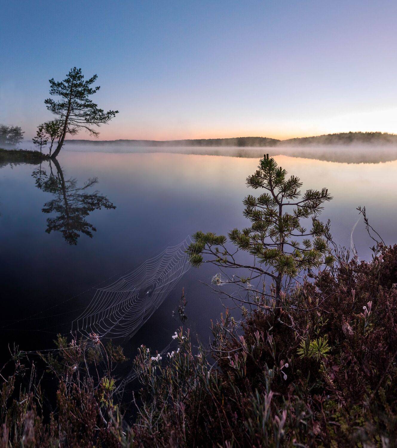 болото, кайф, рассвет ,север ,солнце, свет, закат, облака, отражение, фототур, Павел Ващенков