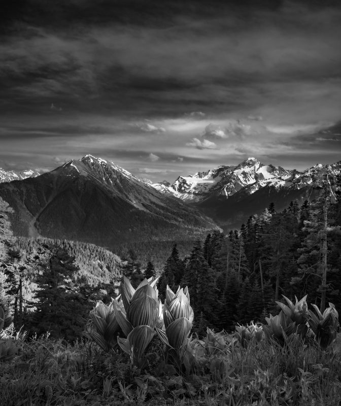 архыз *** фото превью