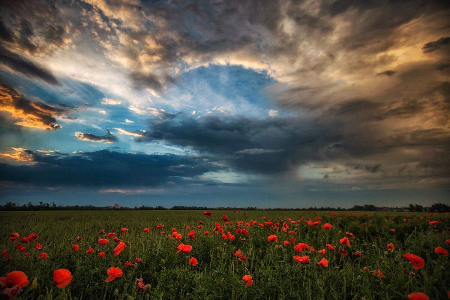 , Павел Сагайдак
