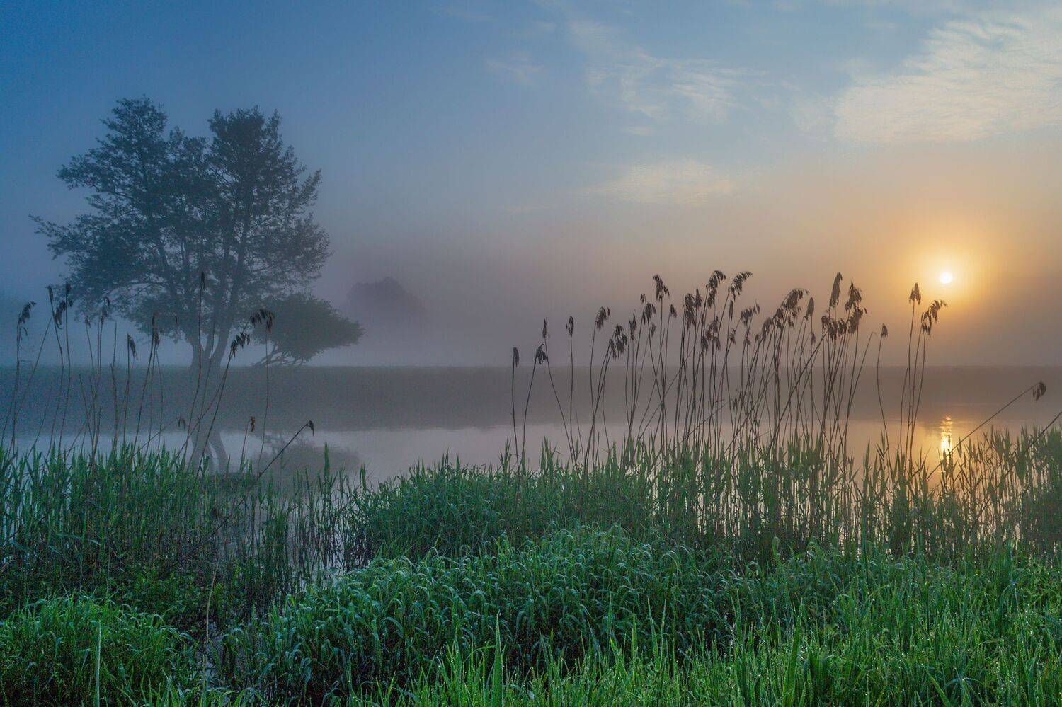 fog water tree light nature sky silence sun landscape atmosphere dawn river gwda nikon reflection, Krzysztof Tollas