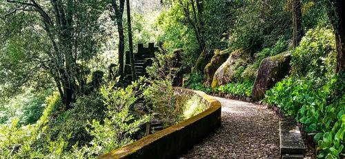 Castel of Moorish - Sintra