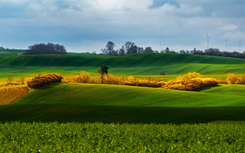 Kolorowy świt фото превью