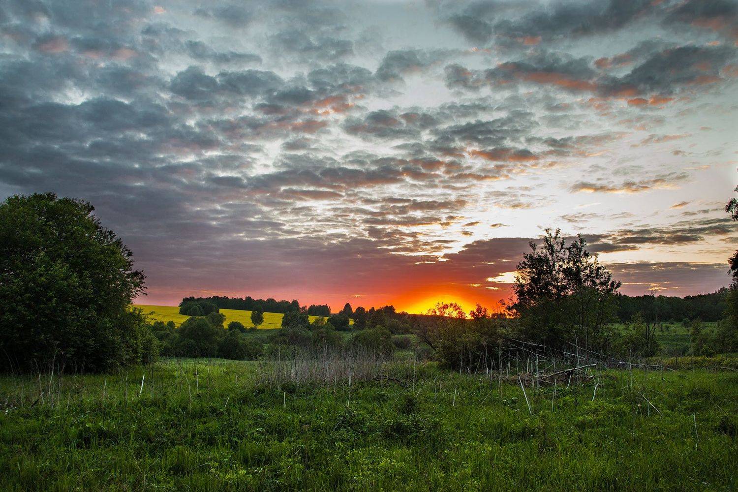 ,  Александр