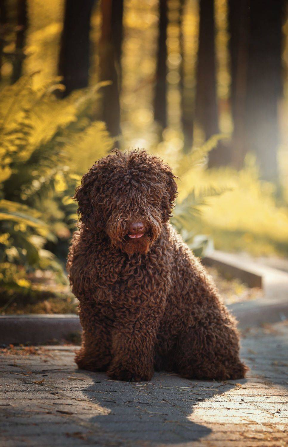 , Наталия Поникарова