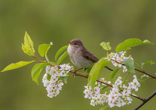 Вот и лето пришло