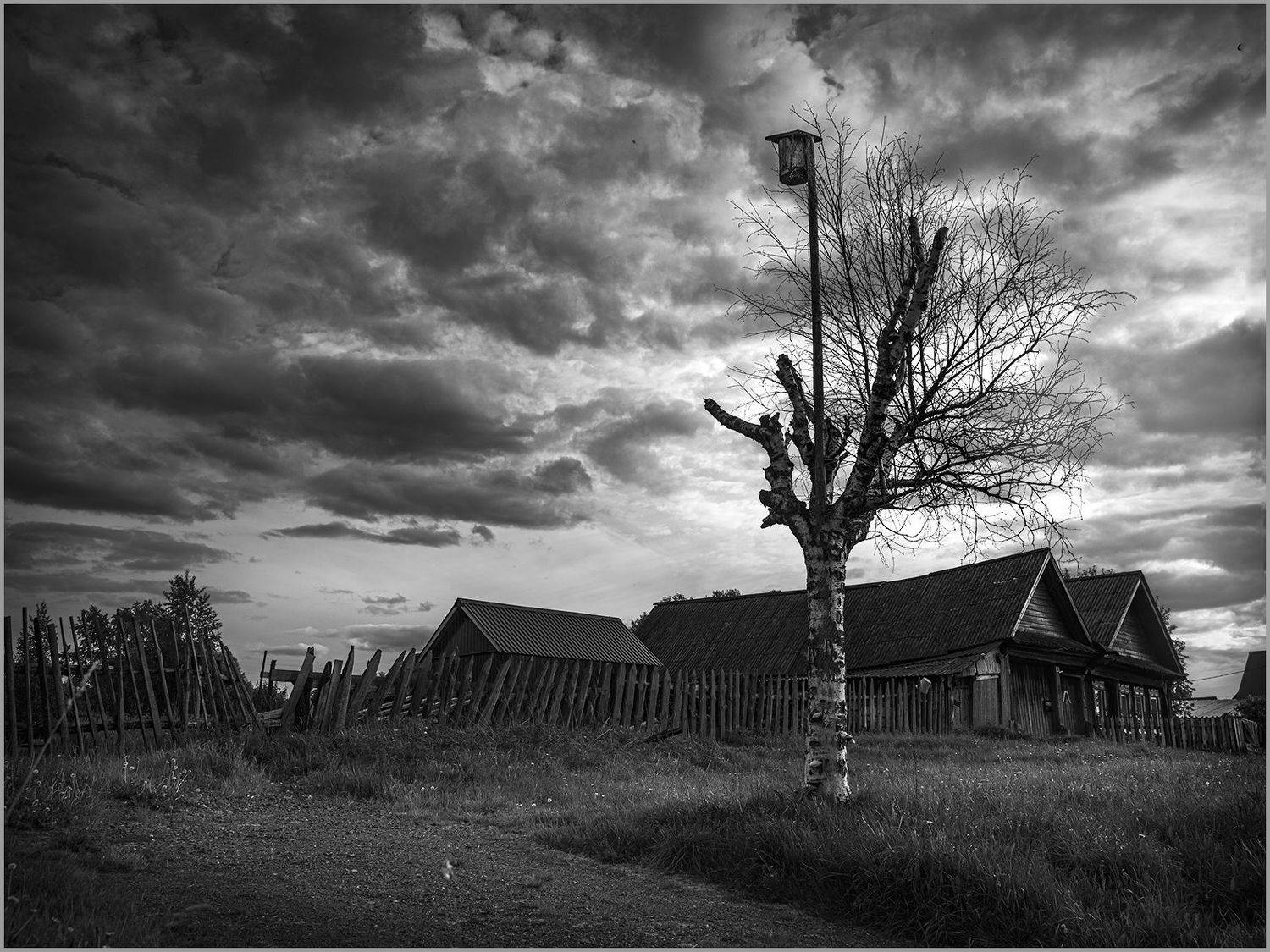 , Александр  Швачко