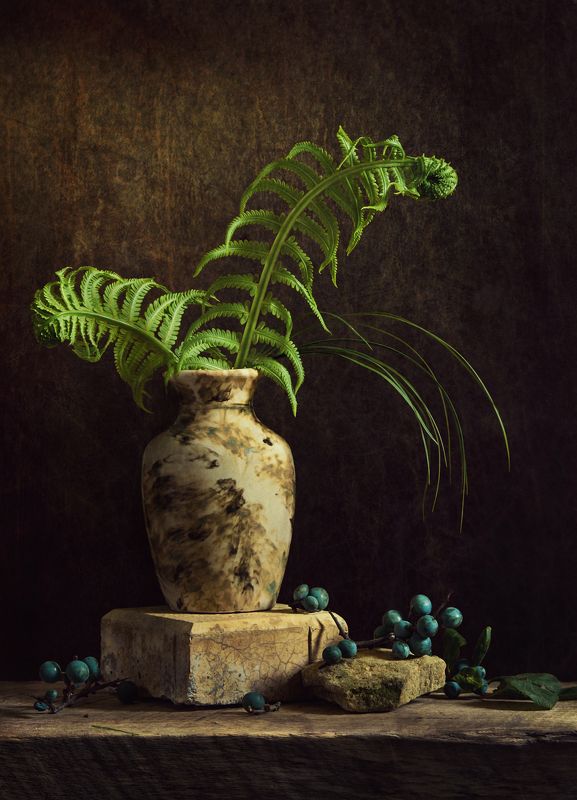 Папоротник фото превью