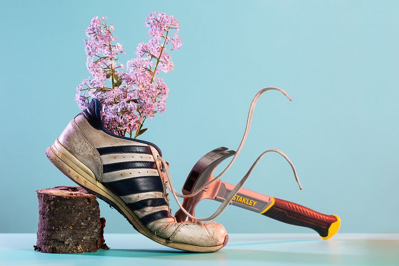 Сирень фото превью