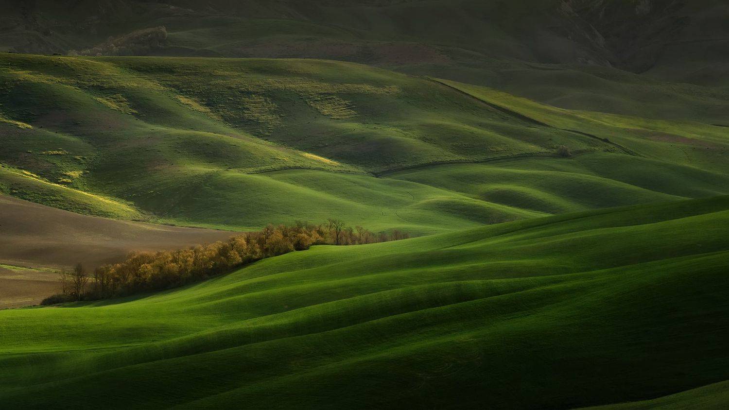 tuscany, тоскана, tuscany photos landscape, весенняя тоскана, пейзажи тосканы, green hills, tuscany landscape photography,  tuscany fields, Татьяна Ефименко