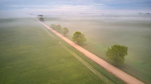 Дорогами, Туманами