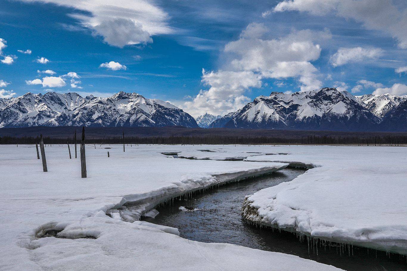 , Андрей Ершов